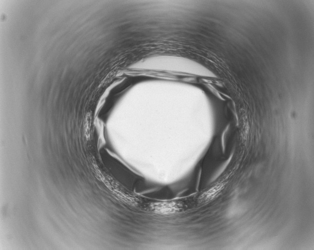 X0000054470273200508270137