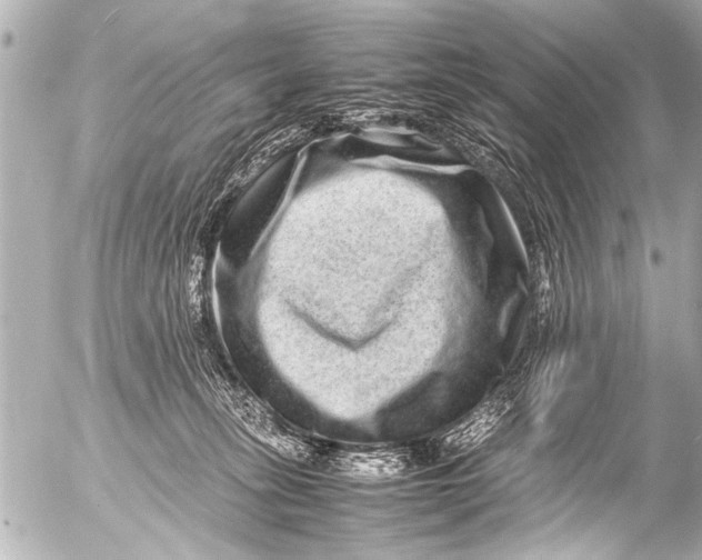 X0000054470275200508270137