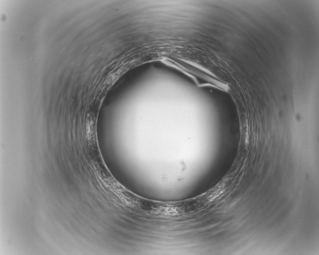 X0000054470276200508270137