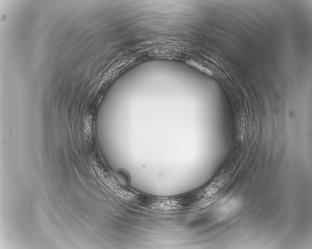 X0000054470278200508270137