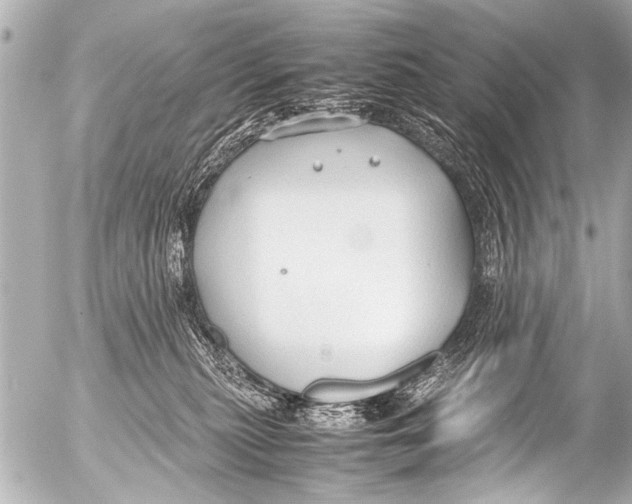 X0000054470279200508270137