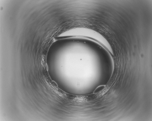 X0000054470280200508270137