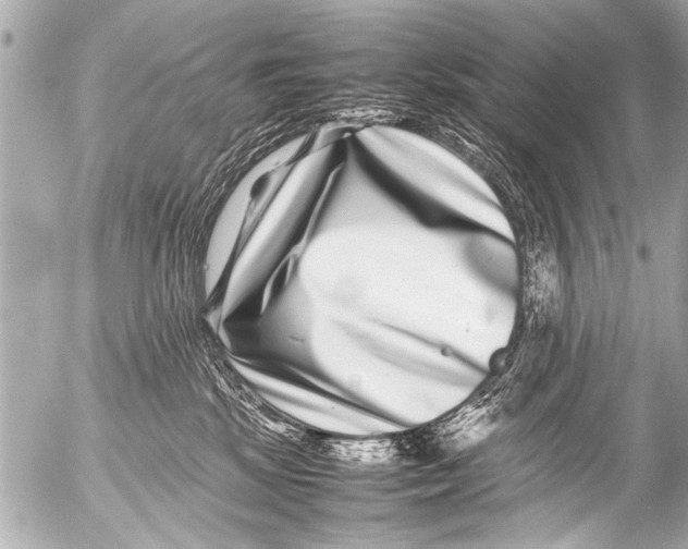 X0000054470281200508270137