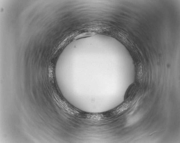 X0000054470282200508270137