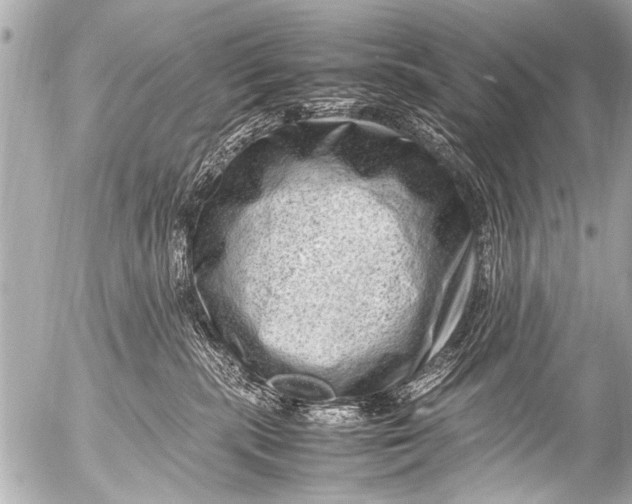 X0000054470283200508270137