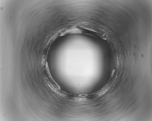 X0000054470284200508270137