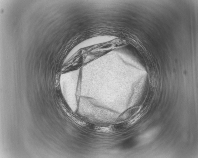 X0000054470285200508270137