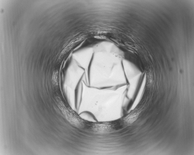 X0000054470286200508270137