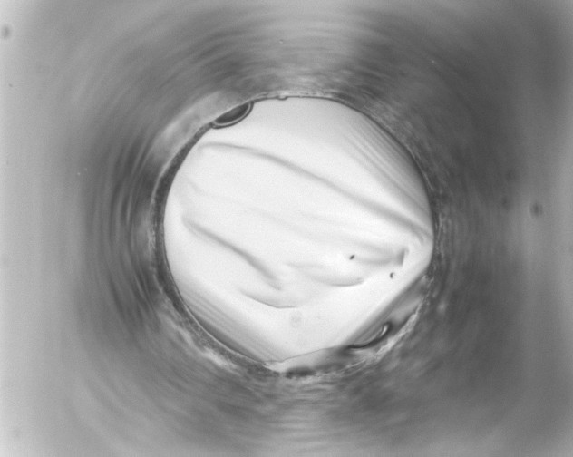 X0000054470290200508270136