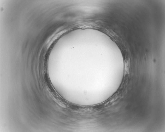 X0000054470291200508270136