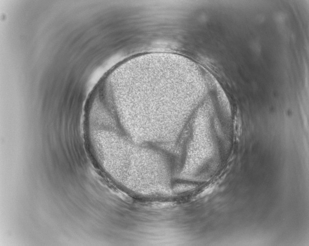 X0000054470292200508270136