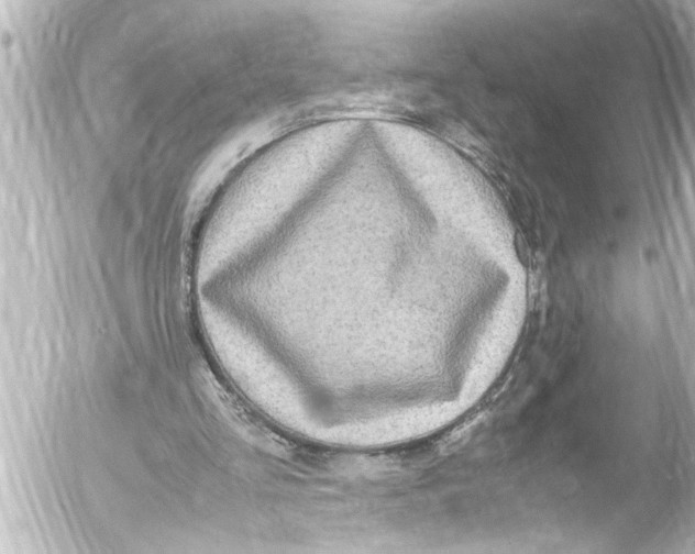 X0000054470293200508270136