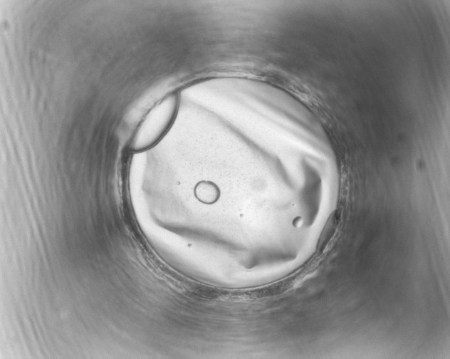 X0000054470294200508270136