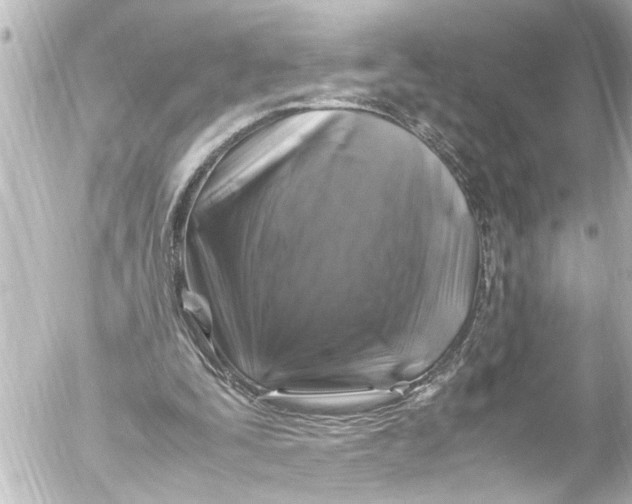 X0000054470295200508270136