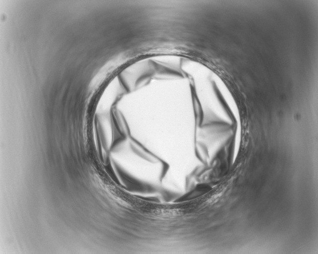 X0000054470296200508270136