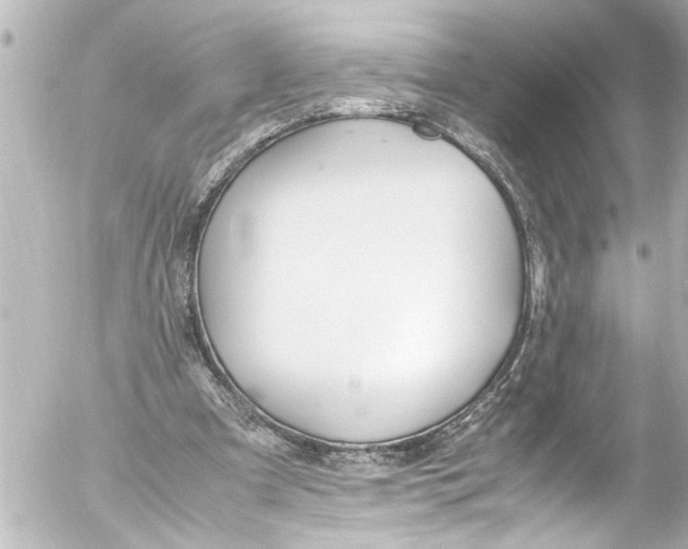 X0000054470297200508270136