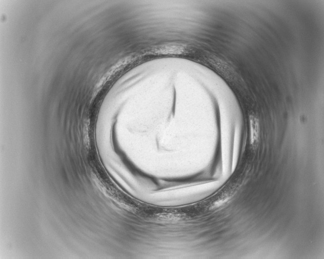 X0000054470300200508270136