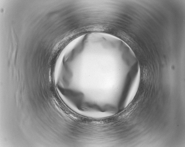 X0000054470302200508270136