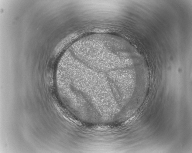 X0000054470303200508270136