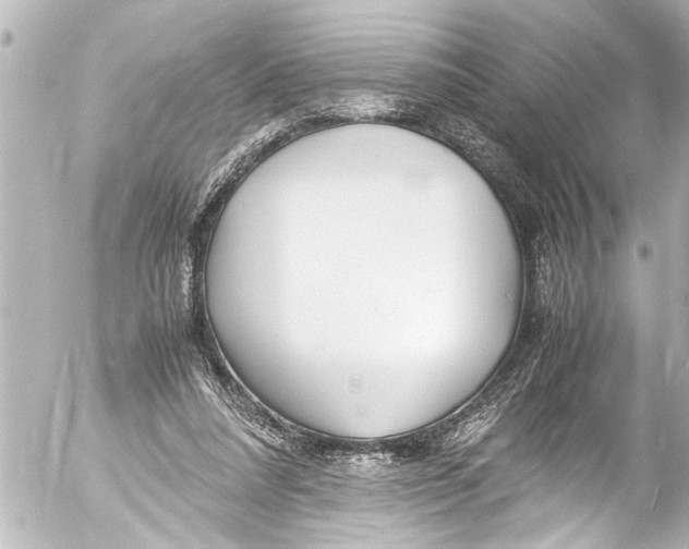 X0000054470304200508270136