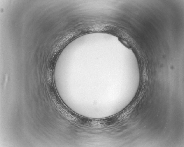 X0000054470305200508270136