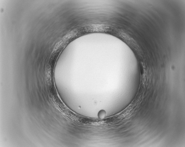 X0000054470306200508270136