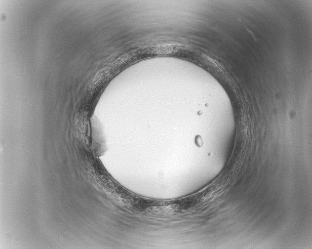 X0000054470307200508270136