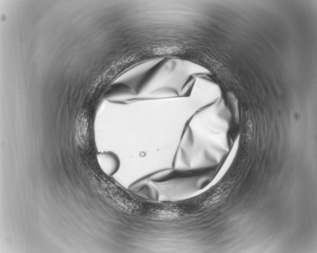 X0000054470308200508270136