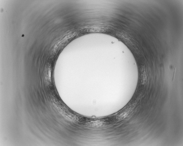 X0000054470310200508270136