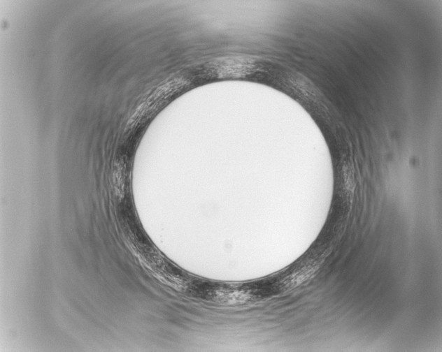 X0000054470311200508270136