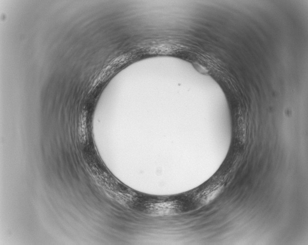 X0000054470312200508270136