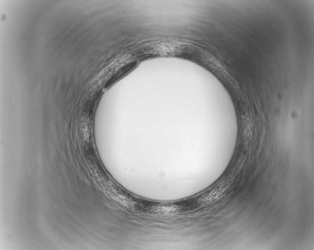 X0000054470313200508270136