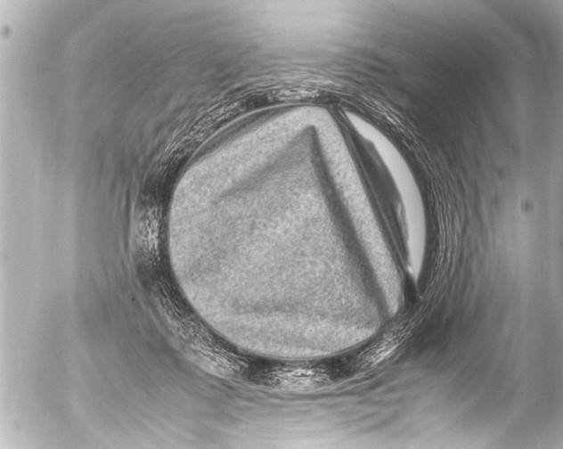 X0000054470315200508270136