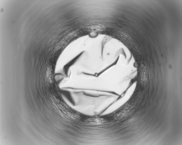 X0000054470316200508270136