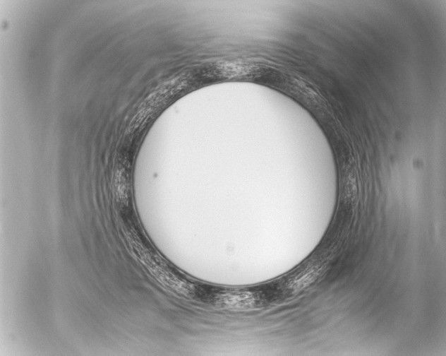 X0000054470317200508270136