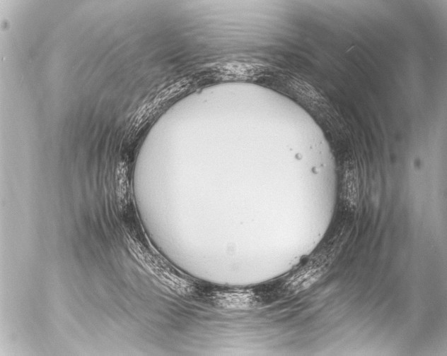 X0000054470318200508270136