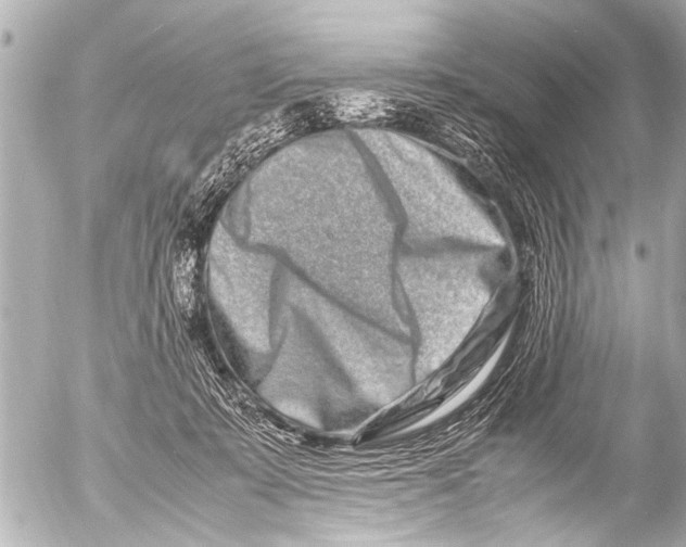 X0000054470319200508270136