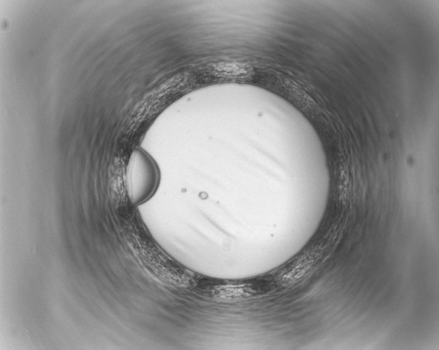 X0000054470320200508270136