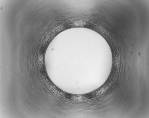 X0000054470321200508270136