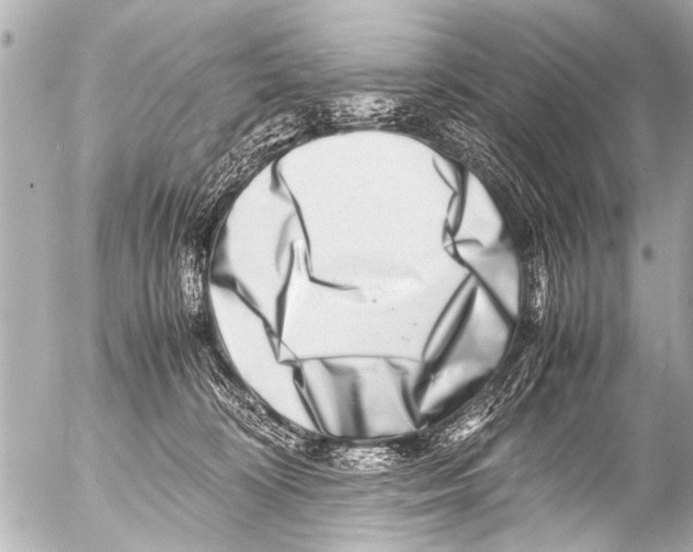 X0000054470324200508270136