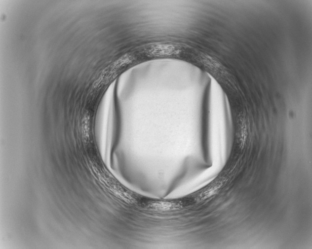 X0000054470326200508270136