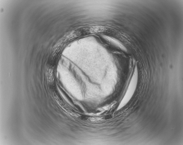 X0000054470327200508270136