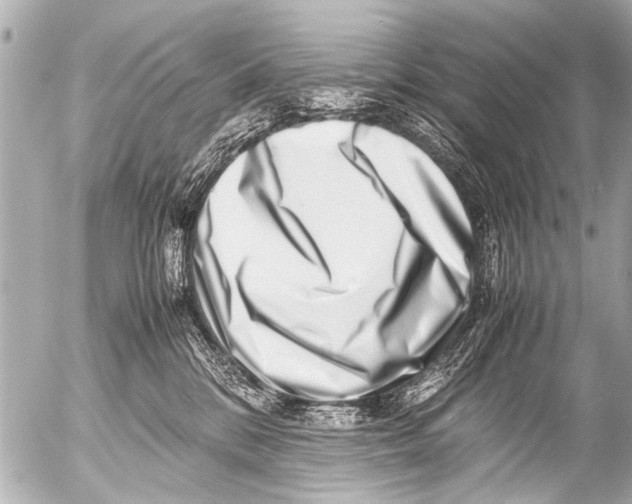 X0000054470328200508270136