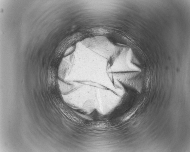 X0000054470330200508270136