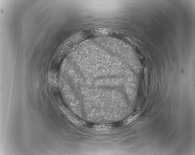 X0000054470331200508270136