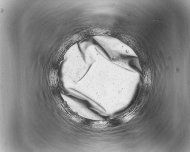 X0000054470335200508270135