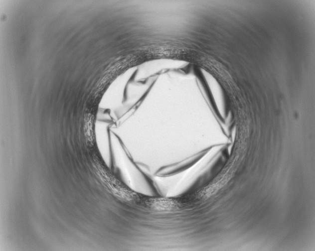 X0000054470336200508270135