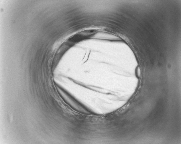 X0000054470337200508270135