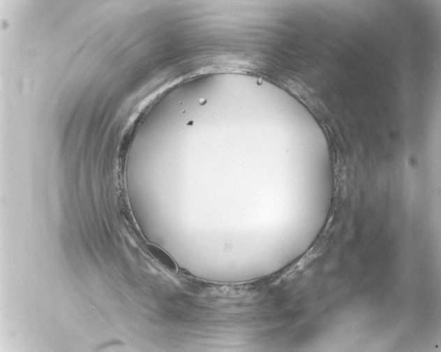 X0000054470338200508270135