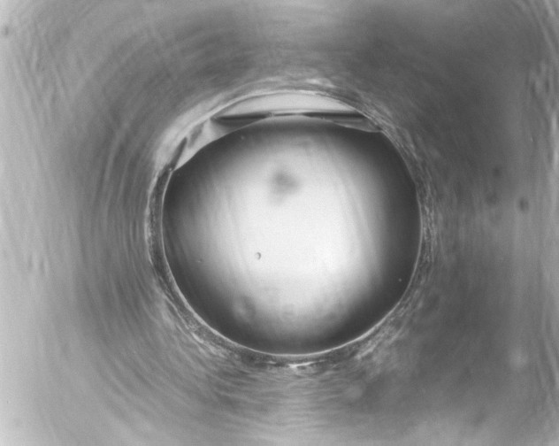 X0000054470340200508270135